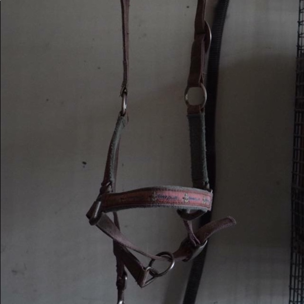 Pony club halter